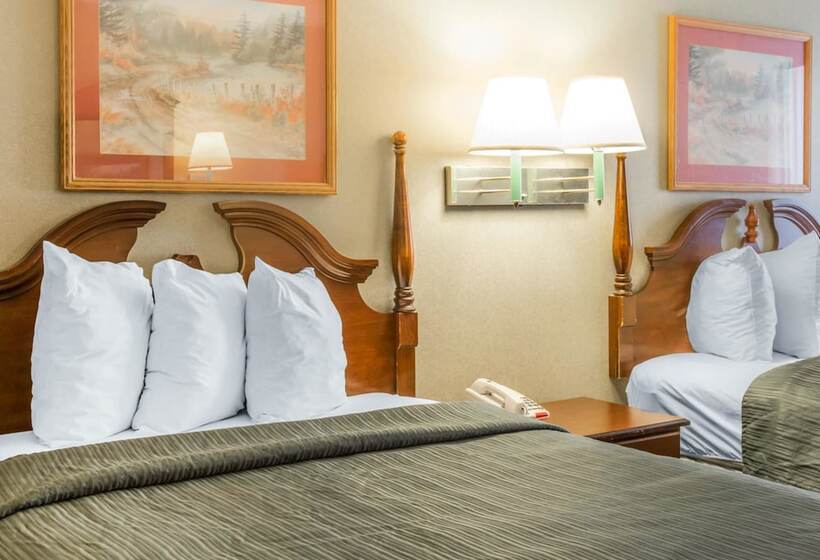 Номер Стандарт 2 Двуспальные Кровати, Quality Inn Reidsville Hwy 29