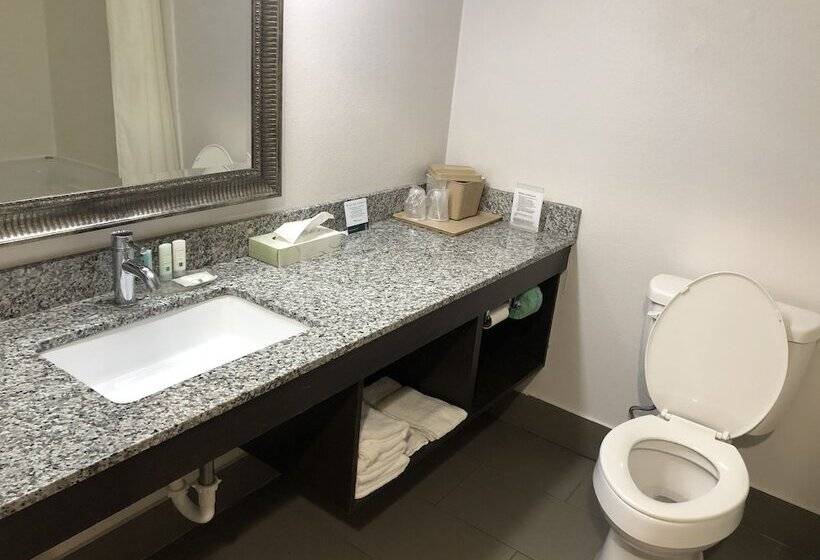 Номер Стандарт 2 Двуспальные Кровати, Quality Inn Rochester South
