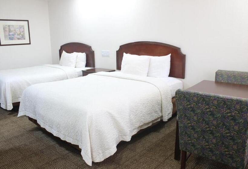 Номер Стандарт, Rodeway Inn