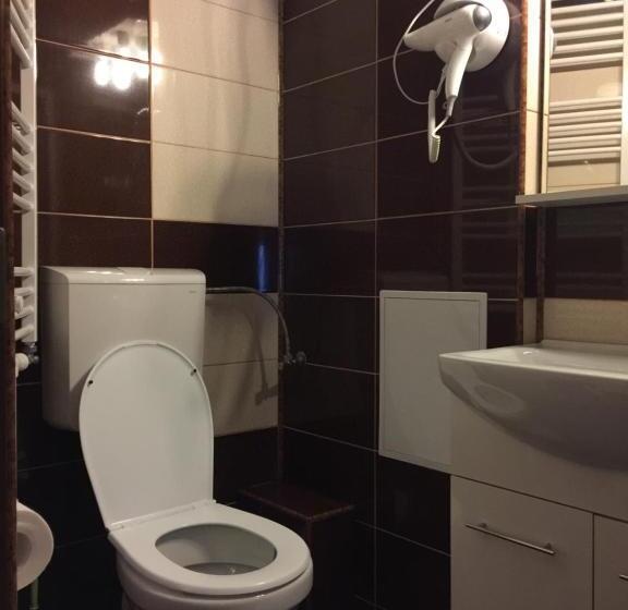آپارتمان 2 خوابه, Transilvania Garden House