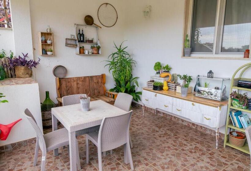 Номер Стандарт, Arome B&b