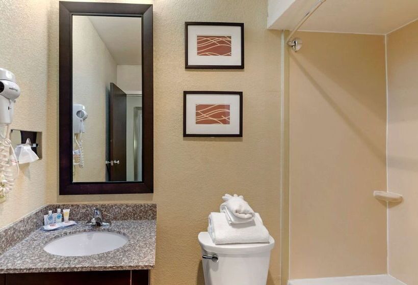 Номер Стандарт 2 Двуспальные Кровати, Comfort Inn