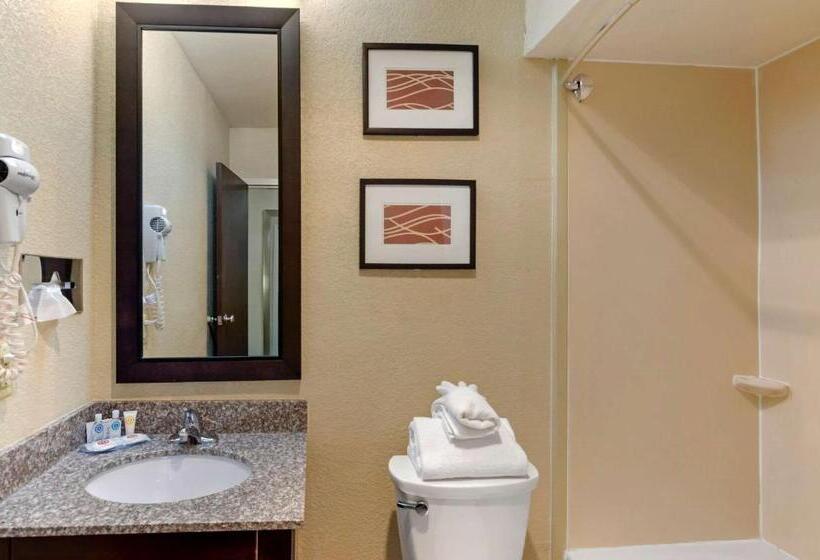 Номер Стандарт Кровать Кинг Адаптированный для Инвалидов, Comfort Inn
