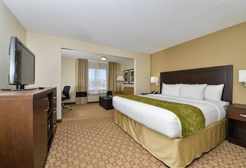 스위트, Comfort Suites At Tucson Mall