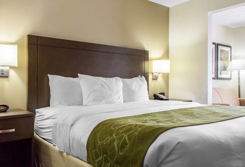 סוויטה, Comfort Suites At Tucson Mall