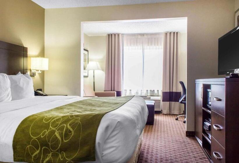 스위트 킹사이즈 침대, Comfort Suites At Tucson Mall
