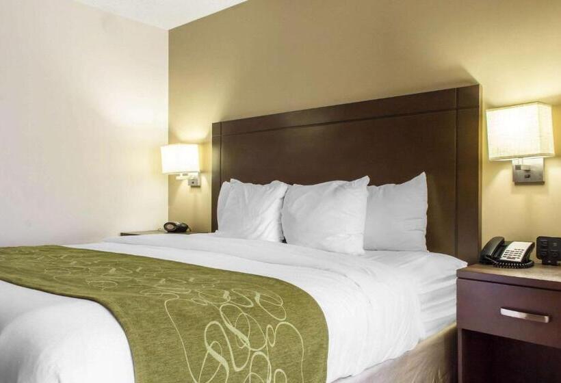 מיטת קינג בסוויטה, Comfort Suites At Tucson Mall