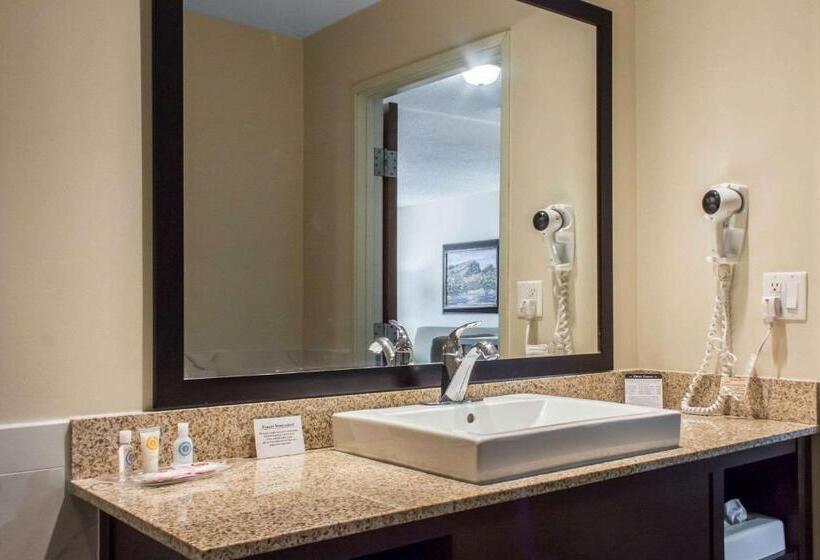 스위트 킹사이즈 침대, Comfort Suites At Tucson Mall