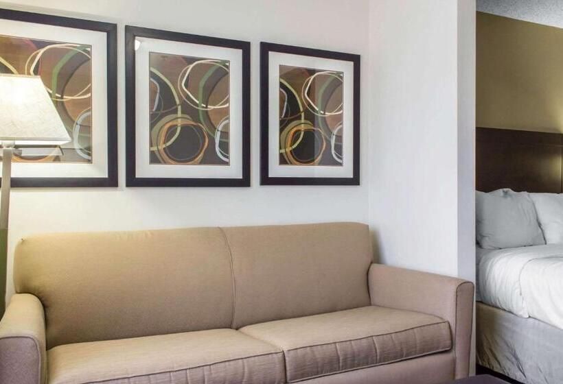 스위트, Comfort Suites At Tucson Mall