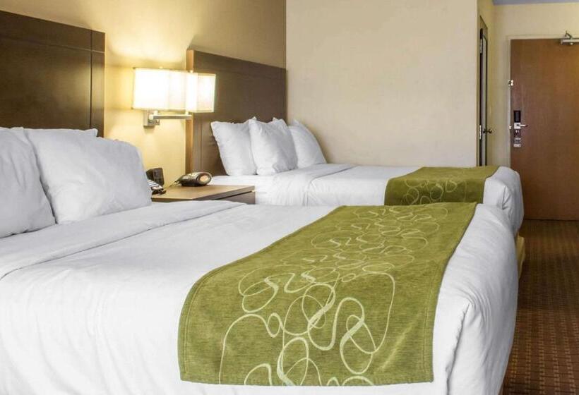 סוויטה, Comfort Suites At Tucson Mall