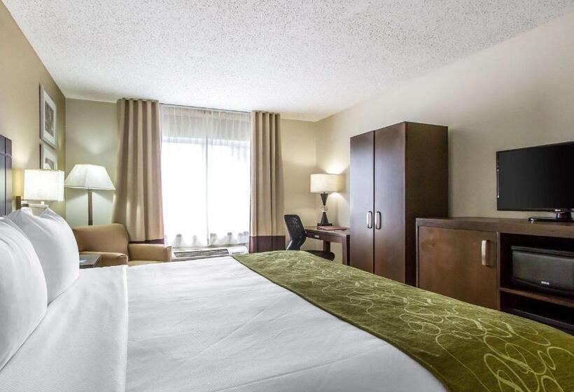 장애인을 위한 스위트, Comfort Suites At Tucson Mall