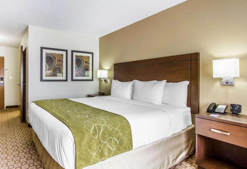 מיטת קינג בסוויטה, Comfort Suites At Tucson Mall