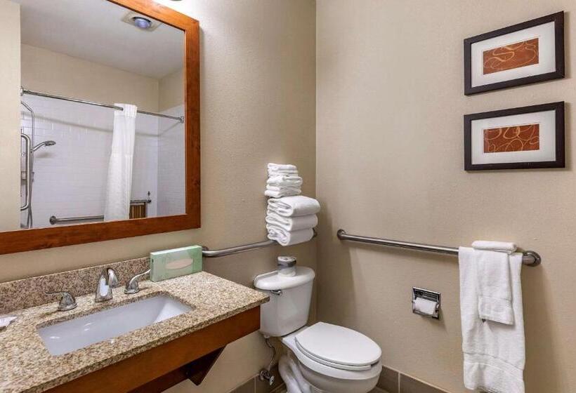 Люкс Адаптированный для Инвалидов, Comfort Suites Fort Collins Near University