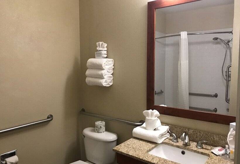 Люкс, Comfort Suites Fort Collins Near University