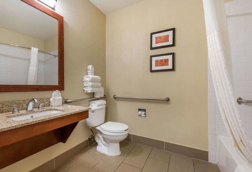 Люкс Адаптированный для Инвалидов, Comfort Suites Fort Collins Near University