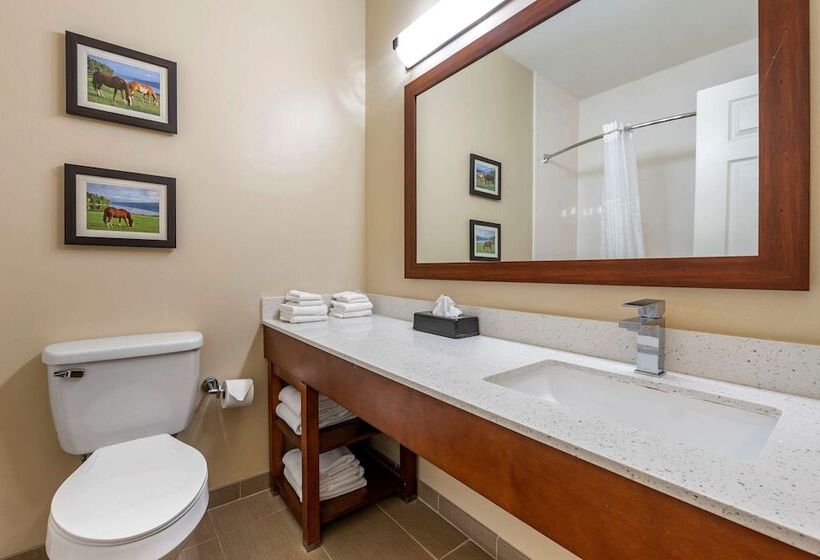 سوییت, Comfort Suites Keeneland