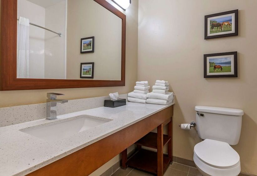سوییت, Comfort Suites Keeneland