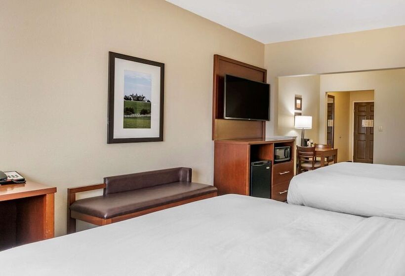 سوییت, Comfort Suites Keeneland