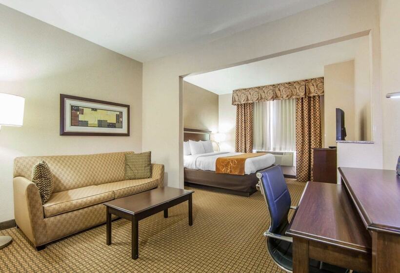 Люкс Адаптированный для Инвалидов, Comfort Suites
