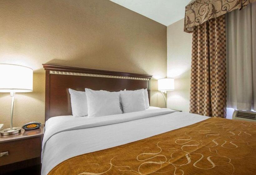 Люкс Кровать Кинг, Comfort Suites