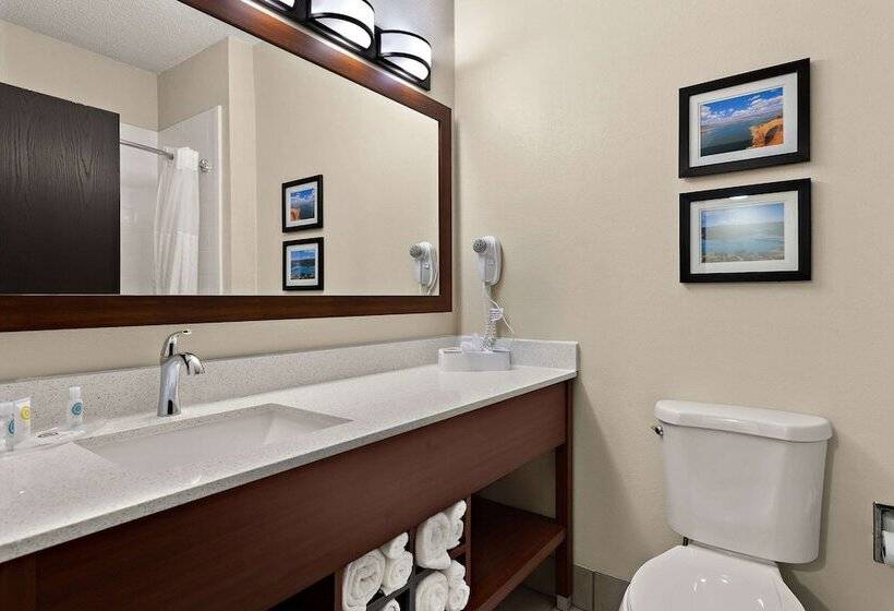 Люкс, Comfort Suites University