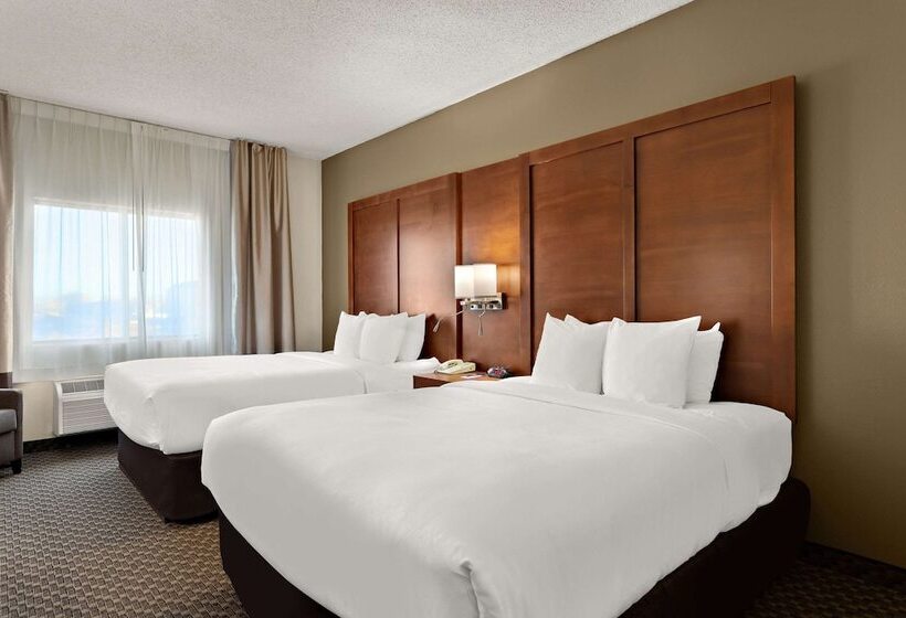 Люкс, Comfort Suites University