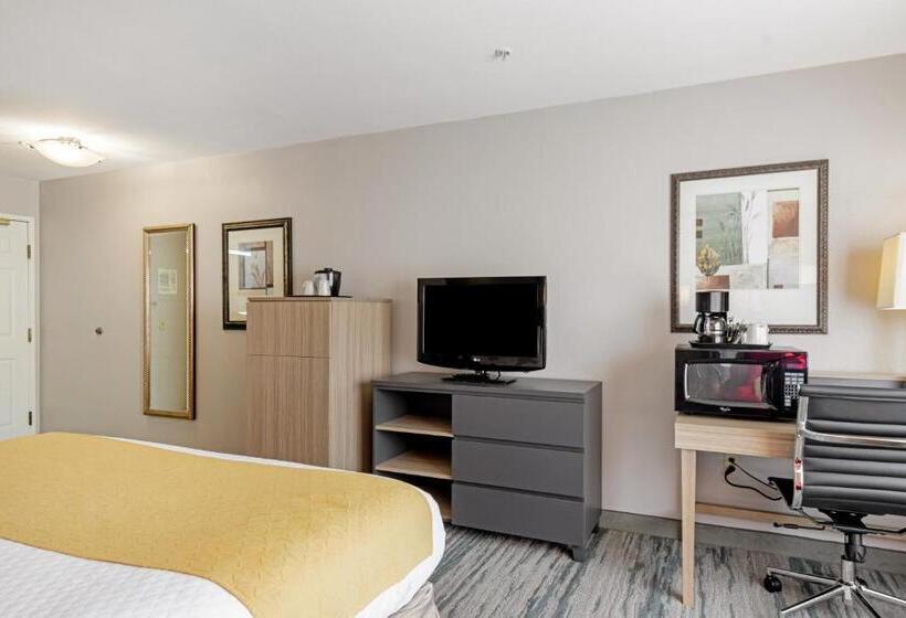 Стандартный Номер Кровать Кинг, Country Inn & Suites By Radisson, Lewisville, Tx