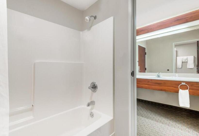 Suíte Deluxe, Days Inn By Wyndham Norton