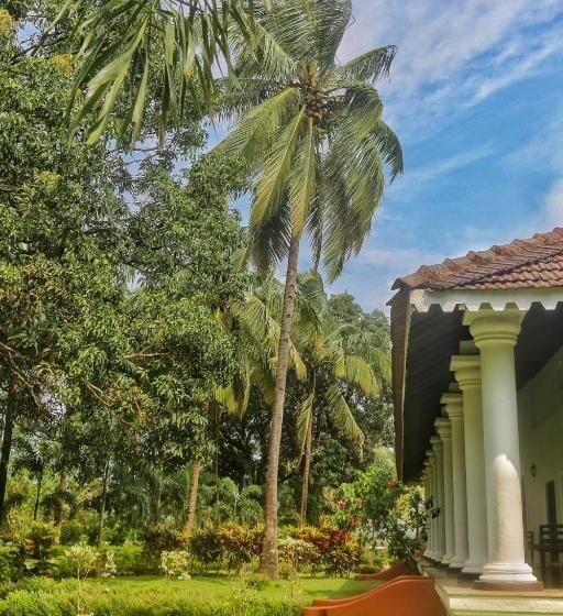 高级套房, The Postcard Cuelim, Goa
