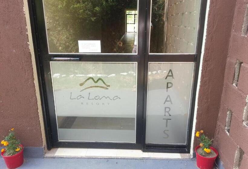 带1个卧室的公寓, La Loma Resort