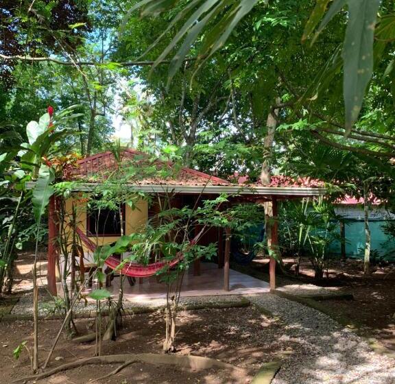 اتاق لوکس, Brigitte S Ranch
