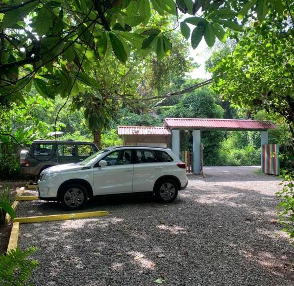 اتاق لوکس, Brigitte S Ranch