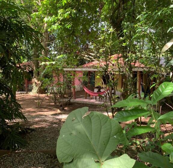 اتاق لوکس, Brigitte S Ranch