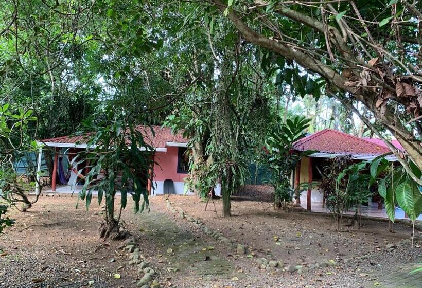بنگله خانوادگی, Brigitte S Ranch