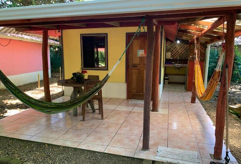 اتاق لوکس, Brigitte S Ranch