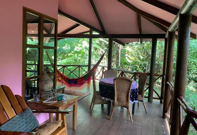 خانه 2 خوابه, Brigitte S Ranch