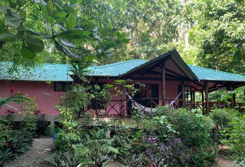خانه 2 خوابه, Brigitte S Ranch