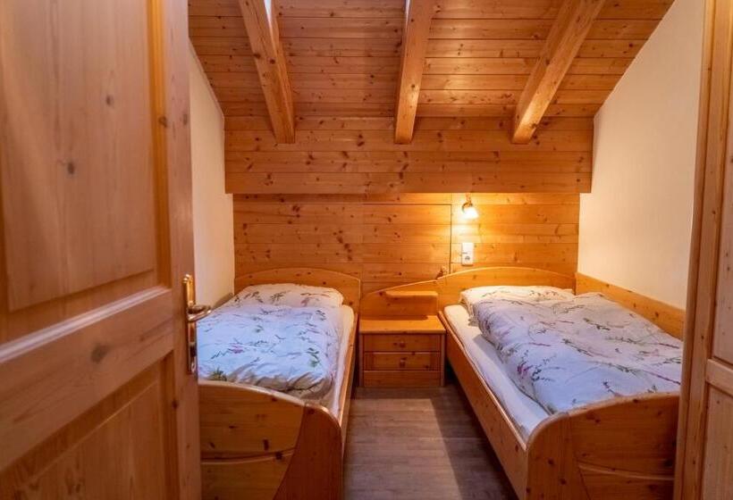آپارتمان سوپریور 2 خوابه, Ganoihof Apartments
