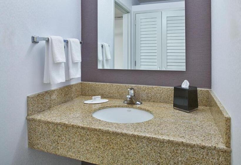 Номер Стандарт, Courtyard By Marriott Detroit Troy