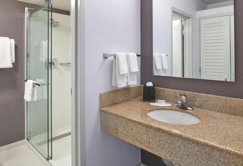 Люкс Кровать Кинг, Courtyard By Marriott Detroit Troy
