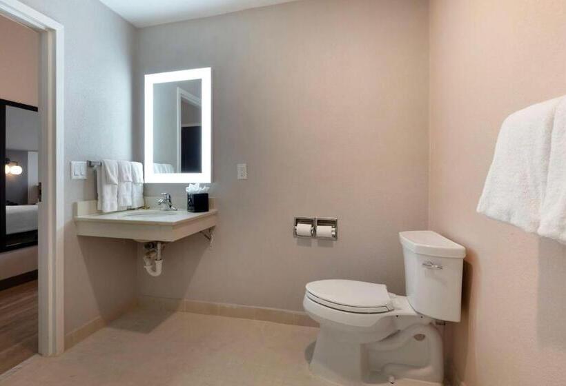身障者適用スタンダードルーム, Best Western Plus Fort Worth North