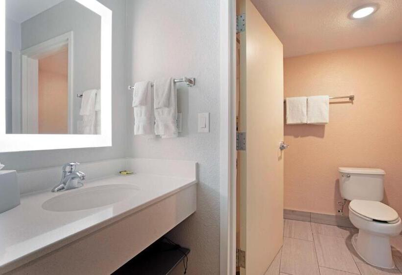 身障者適用キングサイズベッドルーム, Best Western Plus Fort Worth North