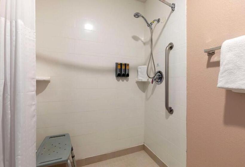 身障者適用キングサイズベッドルーム, Best Western Plus Fort Worth North