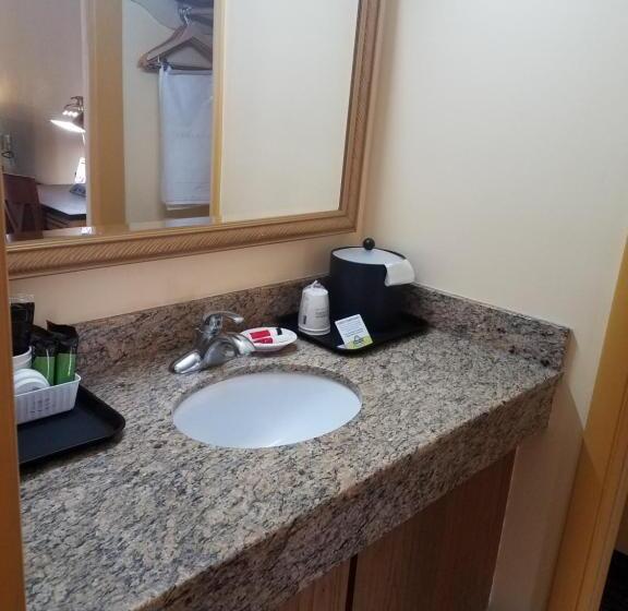 带大床的标准间, Days Inn By Wyndham Oak Ridge Knoxville