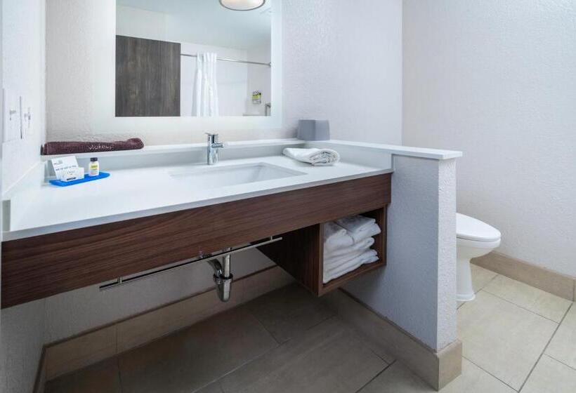 장애인을 위한 스탠다드 룸, Holiday Inn Express & Suites   Florence   Cincinnati Airport, An Ihg