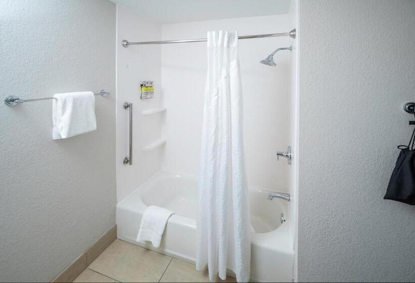 장애인을 위한 킹사이즈 침대 스탠다드 룸, Holiday Inn Express & Suites   Florence   Cincinnati Airport, An Ihg