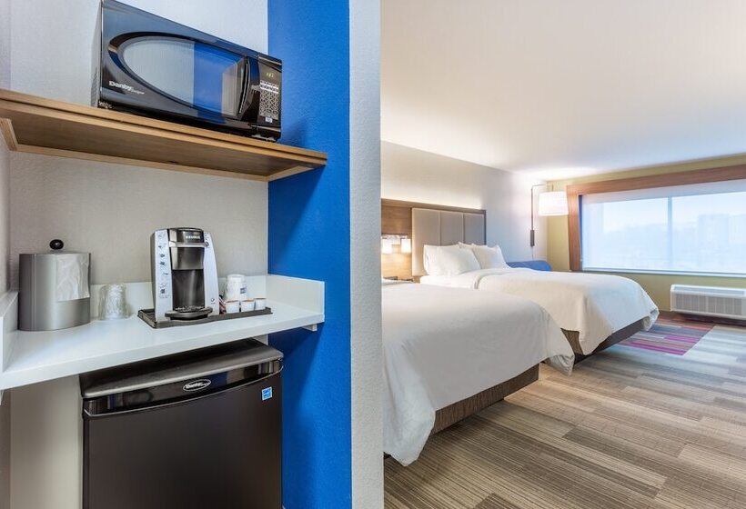 스위트, Holiday Inn Express & Suites   Florence   Cincinnati Airport, An Ihg