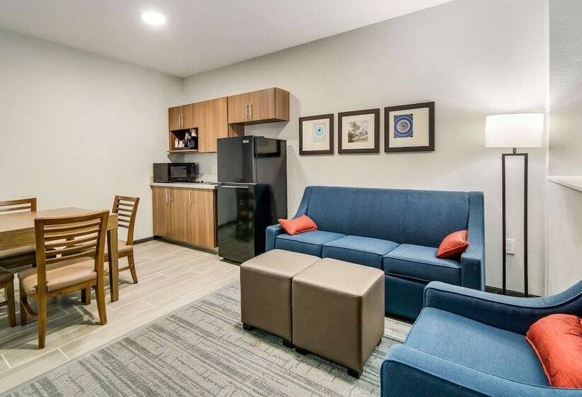 Люкс Адаптированный для Инвалидов, Comfort Suites Desoto Dallas South