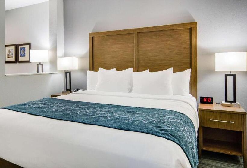 Люкс Адаптированный для Инвалидов, Comfort Suites Desoto Dallas South