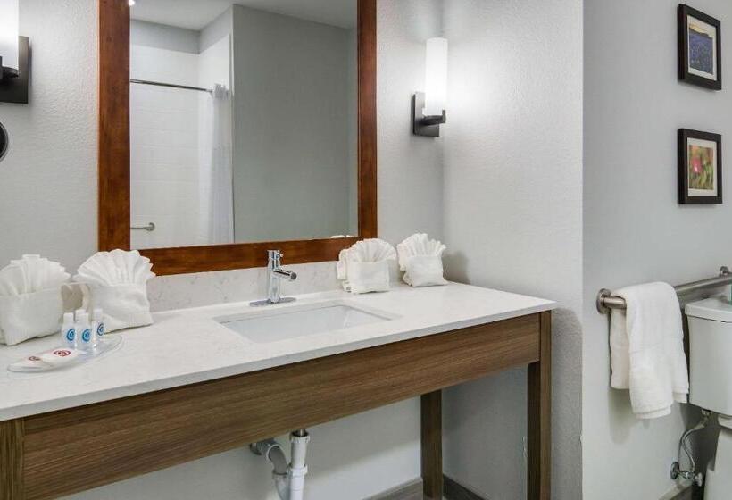 Люкс Адаптированный для Инвалидов, Comfort Suites Desoto Dallas South